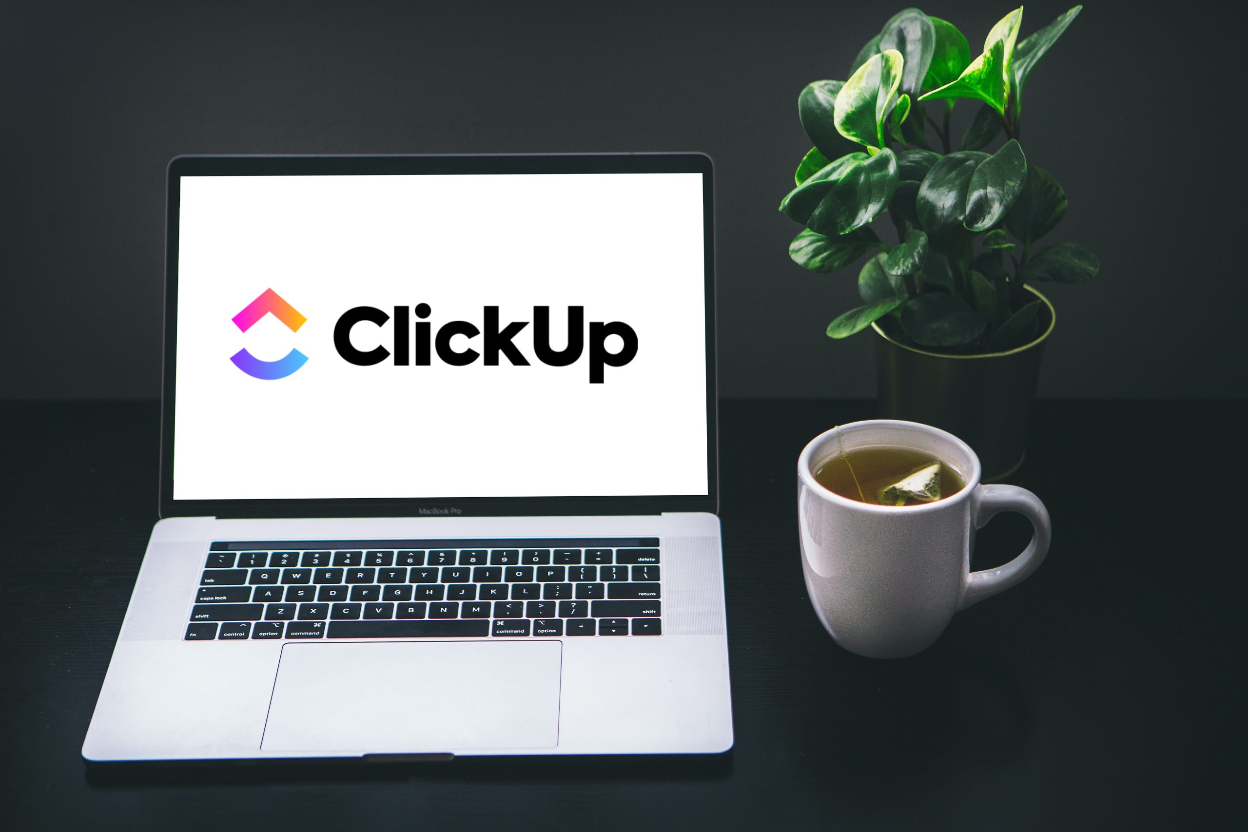 ClickUp Consulting Services